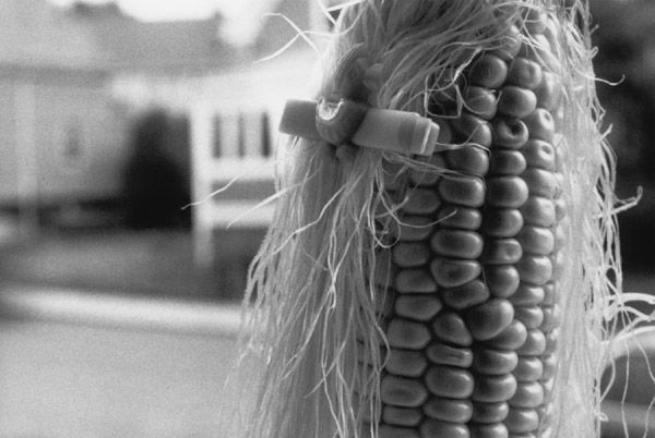 Corn Cob Girl